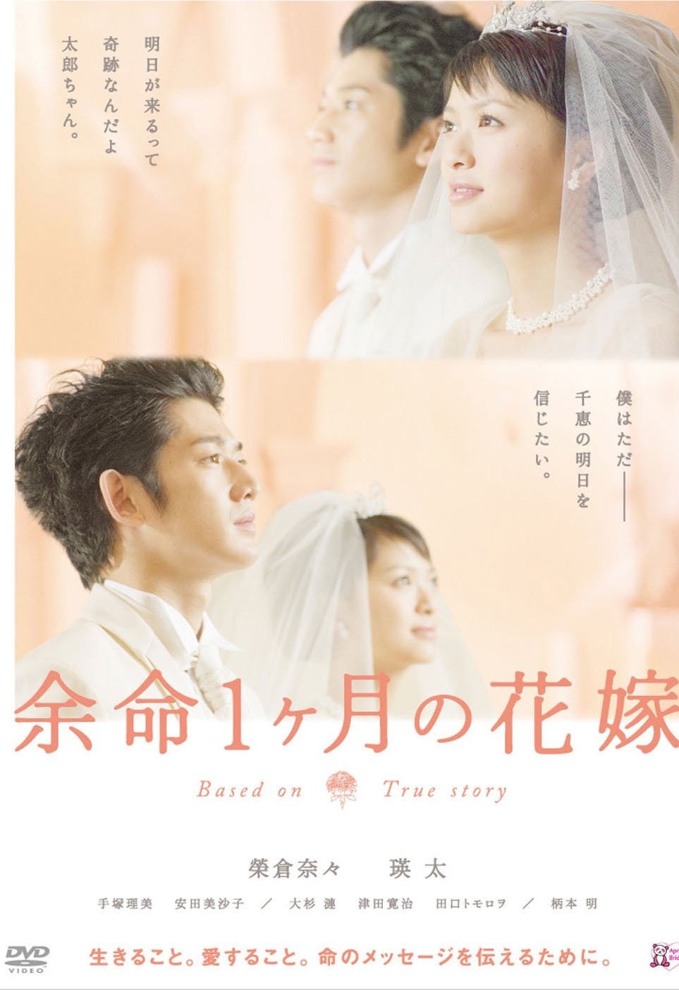 20120327-yomei.jpg 20120327-yomei.jpg