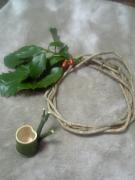 1106995455-050129_194731_M-small.jpg 1106995455-050129_194731_M-small.jpg