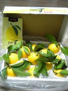 1112543503-050404_005455_M-small.jpg 1112543503-050404_005455_M-small.jpg