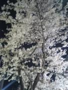 1112787551-050406_203446_M-small.jpg 1112787551-050406_203446_M-small.jpg