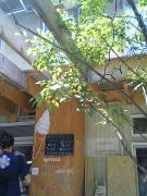 1112881983-050407_124938_M-small.jpg 1112881983-050407_124938_M-small.jpg