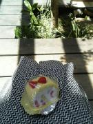 1112882042-050407_124211_M-small.jpg 1112882042-050407_124211_M-small.jpg