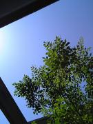 1112882781-050407_124730_M-small.jpg 1112882781-050407_124730_M-small.jpg