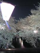 1112974117-050408_200435_M-small.jpg 1112974117-050408_200435_M-small.jpg