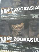 1123078279-nightzoo_M-small.jpg 1123078279-nightzoo_M-small.jpg