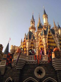 1256727587-Image999-small.jpg 1256727587-Image999-small.jpg