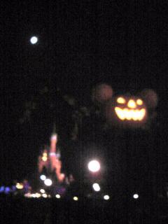 1256727589-Image4035-small.jpg 1256727589-Image4035-small.jpg