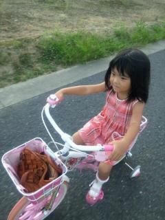 1313163864-13131621158170-small.jpg 1313163864-13131621158170-small.jpg