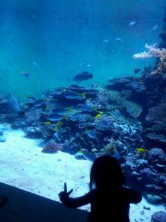 1313293481-13132904582400-small.jpg 1313293481-13132904582400-small.jpg