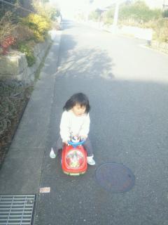 1332336522-DSC_2095-small.jpg 1332336522-DSC_2095-small.jpg