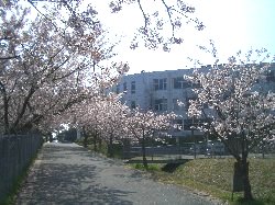 20060409-060407_1.jpg
