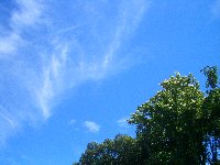 20070615-06015_2.jpg