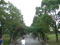 20070624-06023_5.jpg