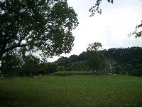 20070624-06023_6.jpg