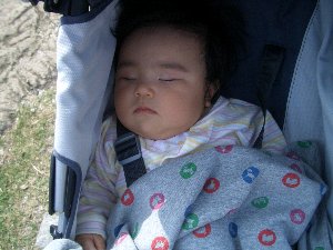 20071009-071007_1.jpg 20071009-071007_1.jpg