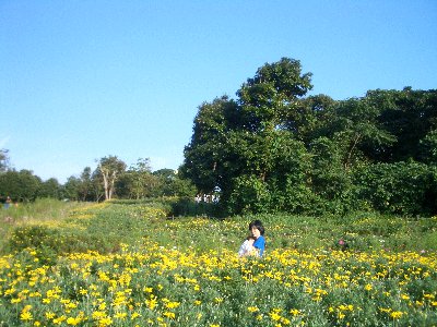 20071009-071007_15.jpg 20071009-071007_15.jpg