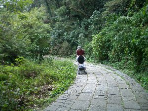 20071009-071007_2.jpg 20071009-071007_2.jpg