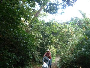 20071009-071007_8.jpg 20071009-071007_8.jpg