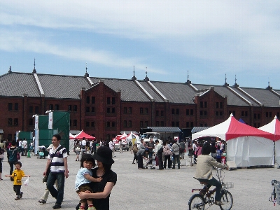 20080603-080530_7.jpg