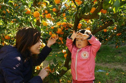 20091104-091103_1.jpg 20091104-091103_1.jpg