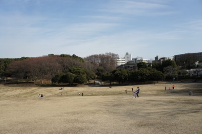20110207-110129_1.jpg