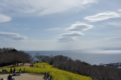 20110308-1100306_2.jpg