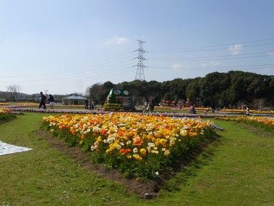 20110525-1100508_11.jpg