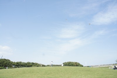 20110608-1100514_3.jpg