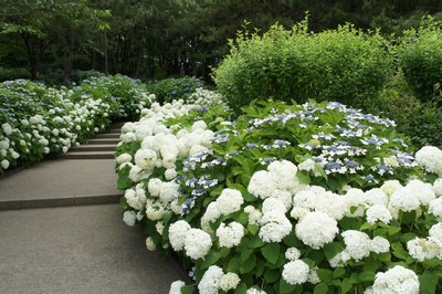 20110703-1100625_2.jpg