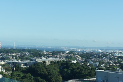 20110725-1100717_9.jpg