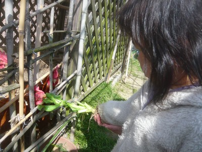 20120321-120321_1.jpg 20120321-120321_1.jpg