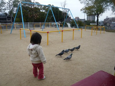 20120323-120322_10.jpg 20120323-120322_10.jpg