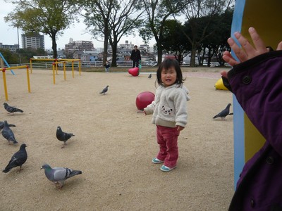 20120323-120322_11.jpg 20120323-120322_11.jpg