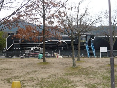 20120323-120322_9.jpg 20120323-120322_9.jpg