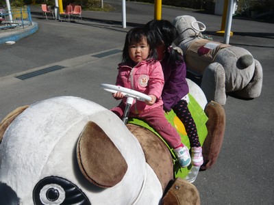 20120328-120326_13.jpg 20120328-120326_13.jpg