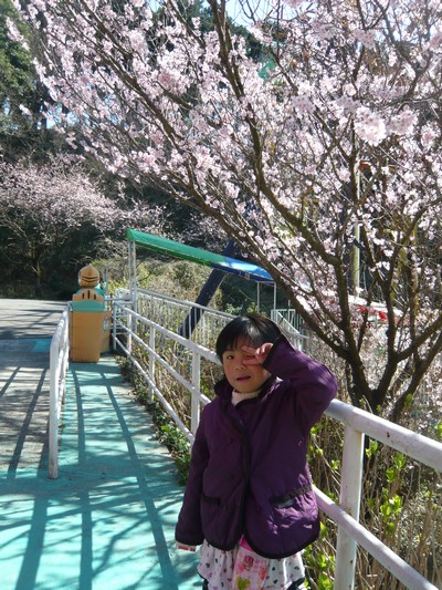 20120328-120326_18.jpg 20120328-120326_18.jpg