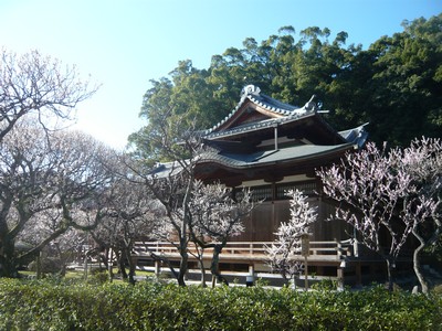 20120328-120326_25.jpg 20120328-120326_25.jpg