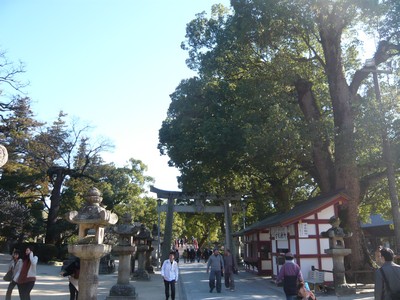 20120328-120326_26.jpg 20120328-120326_26.jpg