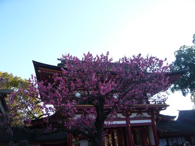 20120328-120326_27.jpg 20120328-120326_27.jpg