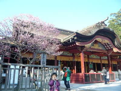 20120328-120326_28.jpg 20120328-120326_28.jpg