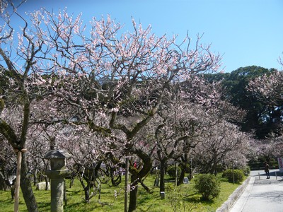 20120328-120326_6.jpg 20120328-120326_6.jpg