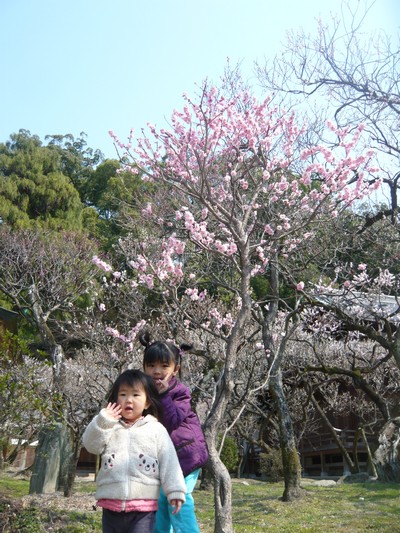 20120328-120327_12.jpg 20120328-120327_12.jpg