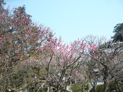 20120328-120327_9.jpg 20120328-120327_9.jpg