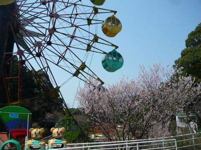 20120329-120327_19.jpg 20120329-120327_19.jpg