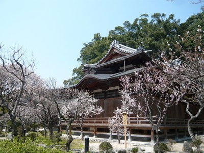 20120329-120327_27.jpg 20120329-120327_27.jpg