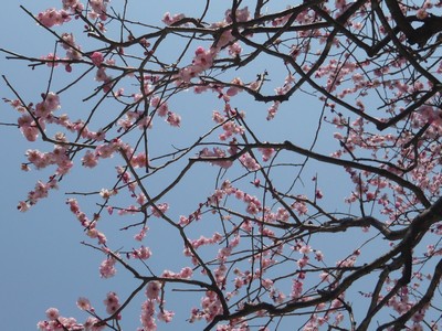 20120329-120327_28.jpg 20120329-120327_28.jpg