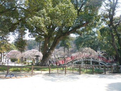 20120329-120327_31.jpg 20120329-120327_31.jpg