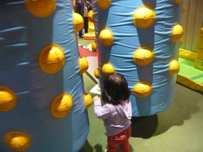 20120331-120327_25.jpg 20120331-120327_25.jpg