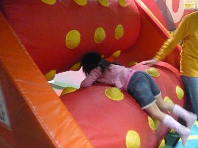 20120331-120327_24.jpg 20120331-120327_24.jpg