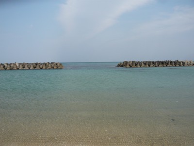 20120331-120327_7.jpg